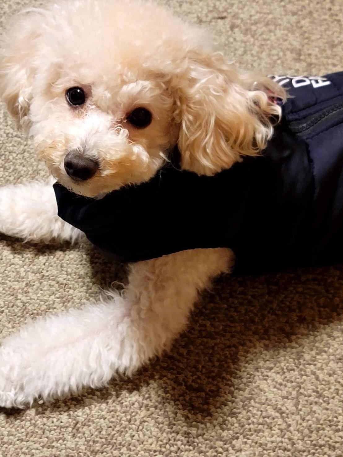 ゲストハウスｐｉｋｏ 신구 외부 사진
